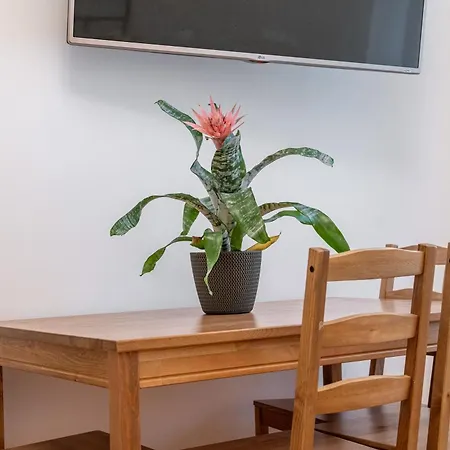 Appartement Sleepwellpl Krakau